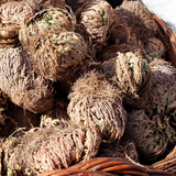 Rose of Jericho Resurrection Flower