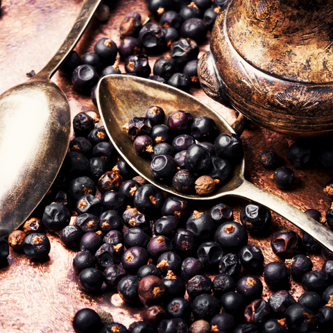 Juniper Berries Whole (Juniperus Communis)