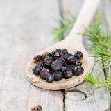Juniper Berries Whole (Juniperus Communis)