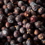 Juniper Berries Whole (Juniperus Communis)