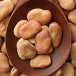Mojo Wish Bean (Vicia Faba)