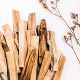 Palo Santo Sticks (5 Pack)