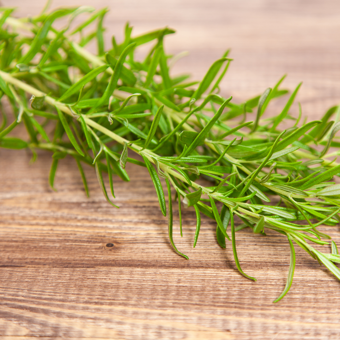 Rosemary Leaf Whole (Rosemary Officinalis)
