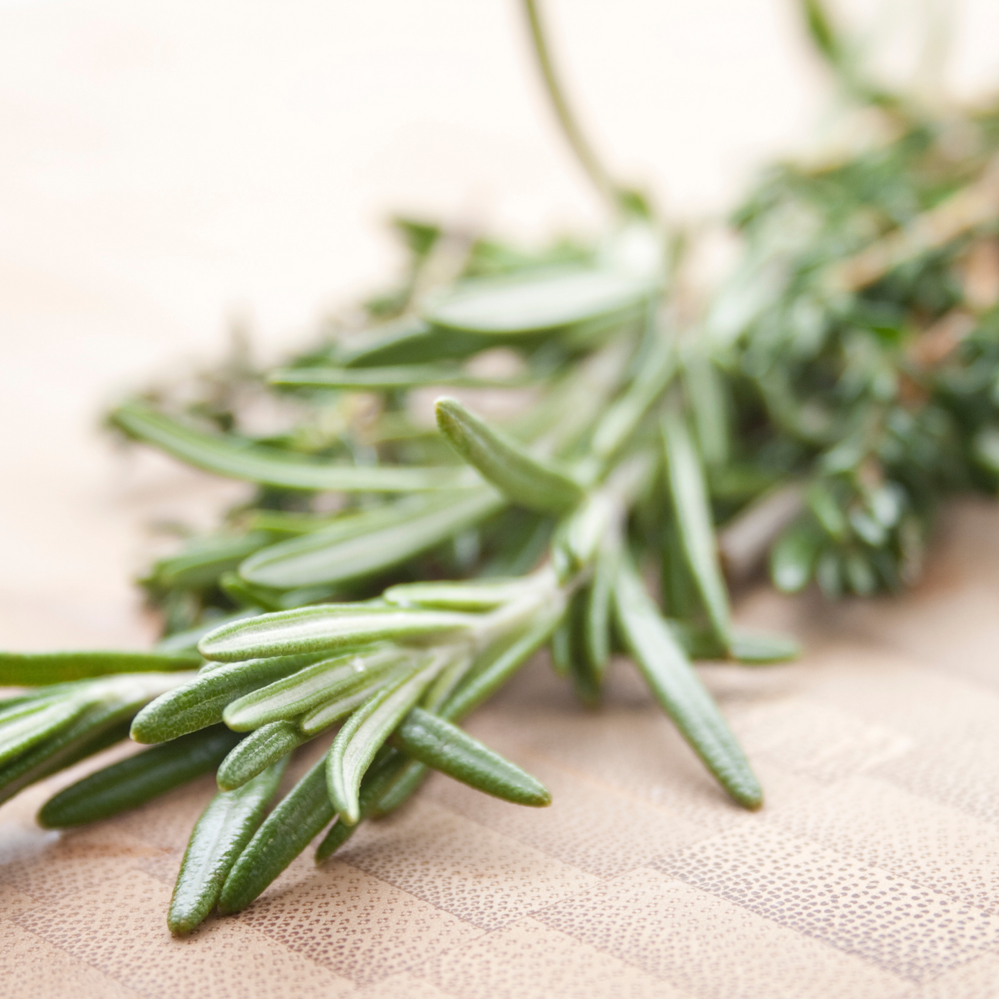 Rosemary Leaf Whole (Rosemary Officinalis)
