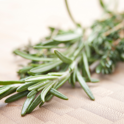 Rosemary Leaf Whole (Rosemary Officinalis)