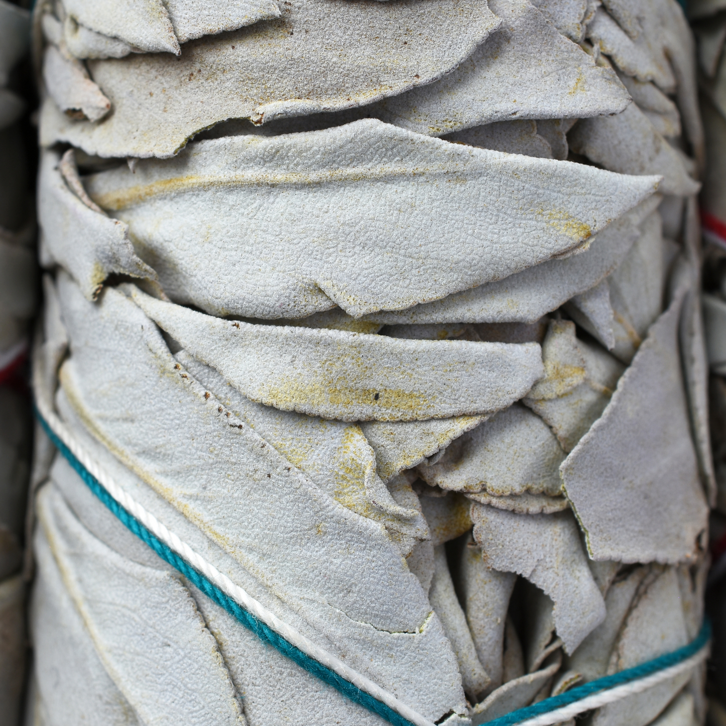 California White Sage Cleansing Stick