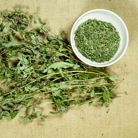 Spearmint Cut (Mentha Spicata)