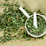Spearmint Cut (Mentha Spicata)