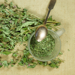 Spearmint Cut (Mentha Spicata)