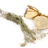 Wormwood Cut (Artemisia Absinthium)